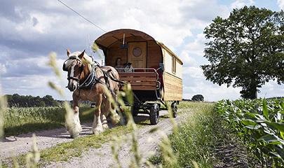 Bild verkleinern