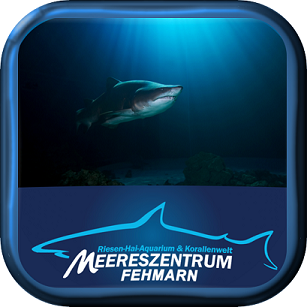 Bild verkleinern